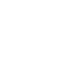 The Digital Alchemists
